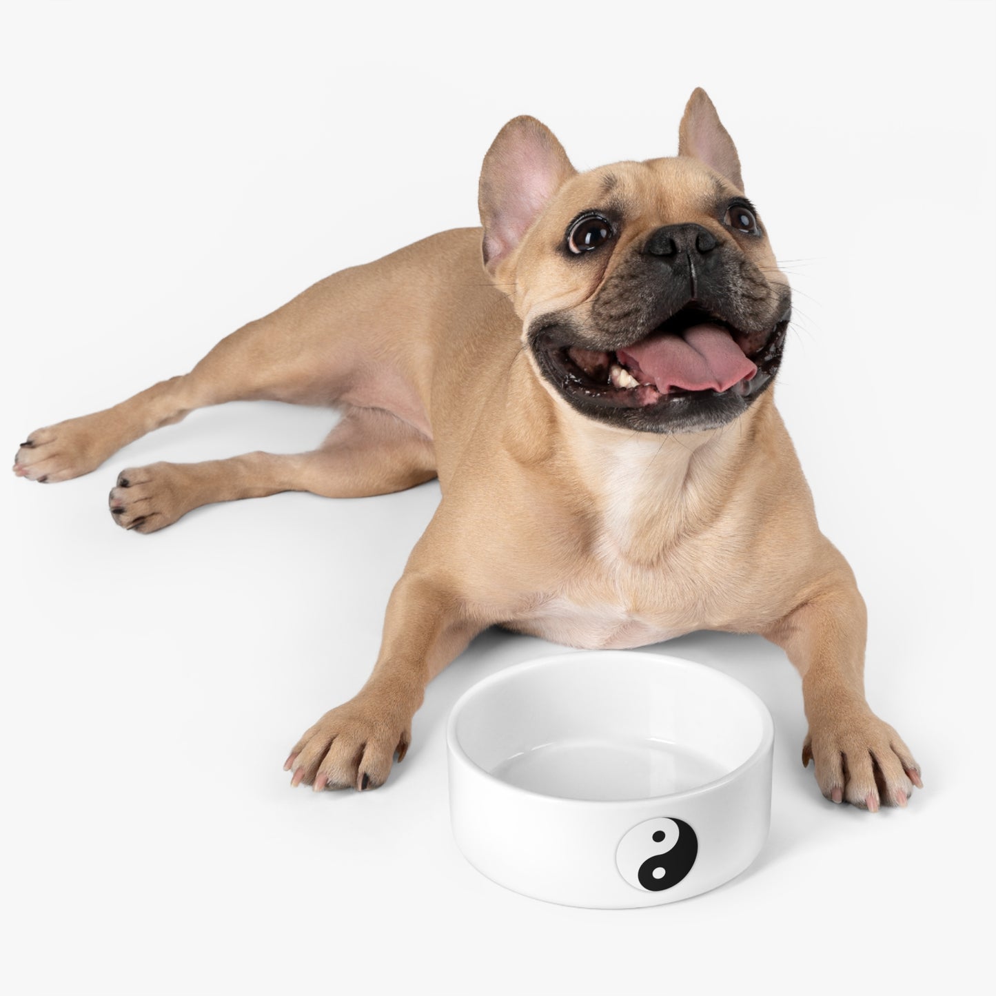 Yinyang Effect Pet Bowl - Balance and Style for Your Pet