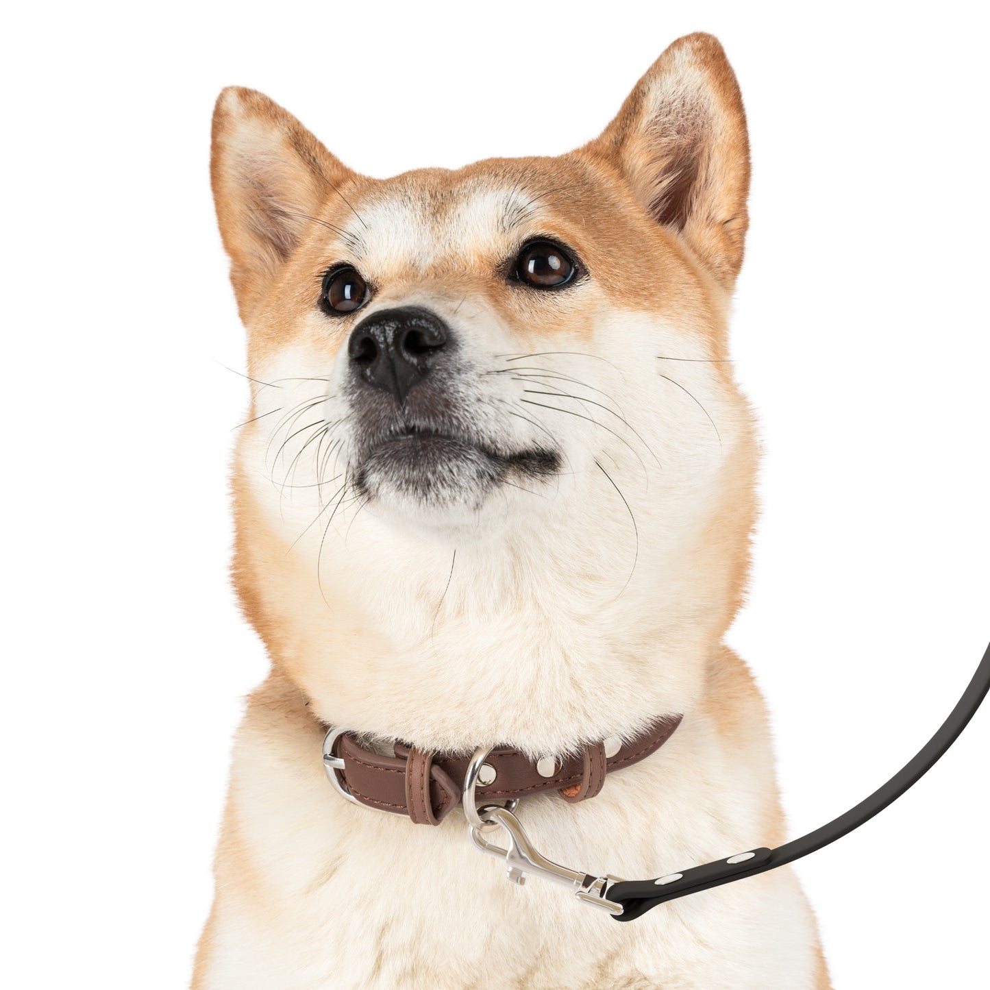 Yinyang Effect Leash - Balance and Durability for Your Pet
