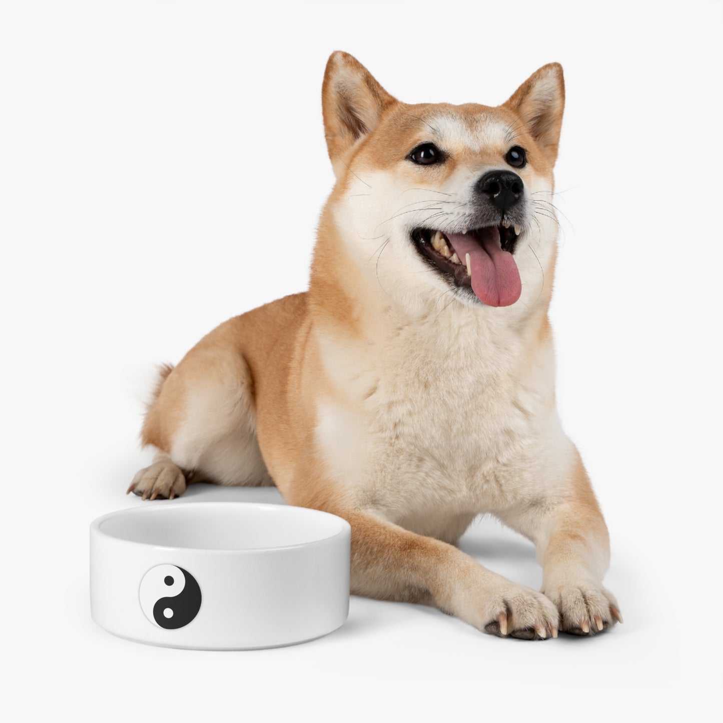 Yinyang Effect Pet Bowl - Balance and Style for Your Pet