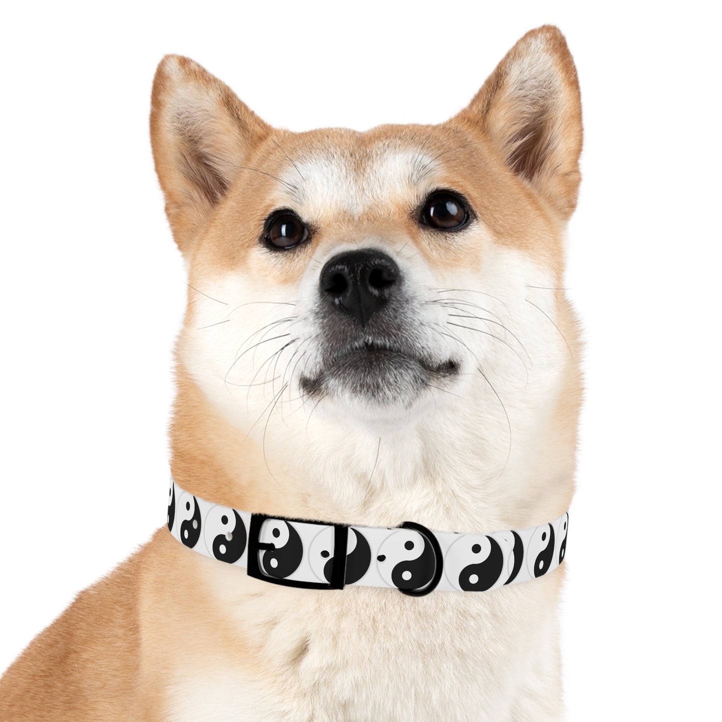 Yinyang Effect Dog Collar - Balance and Style